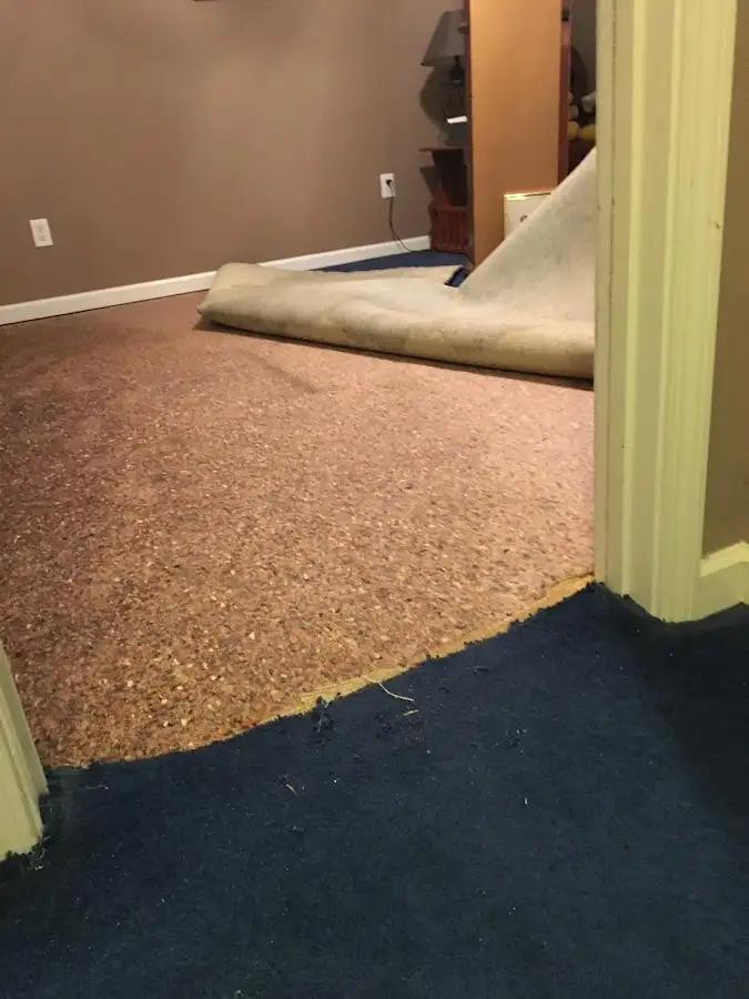 Carpet pad removal revealing water damage during Water Mitigation Services in Cottonwood Heights
