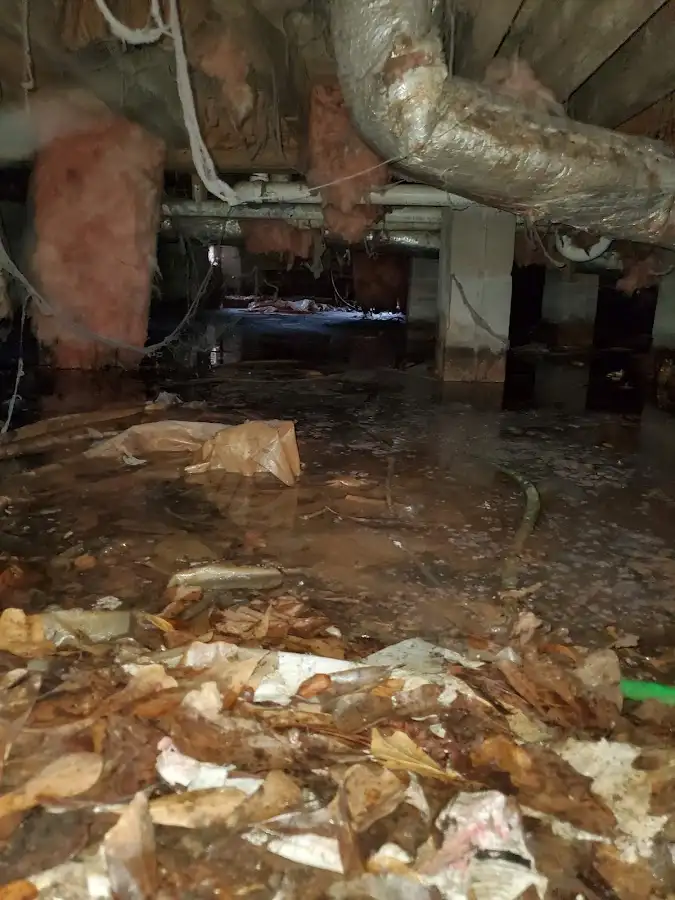 Crawl space flood assessment for Leak Detection & Repair in Cottonwood Heights